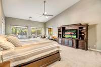 Chestnut - 3788