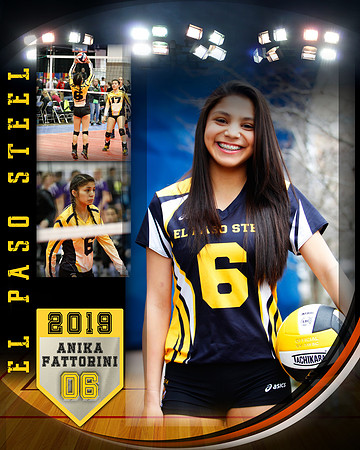 Anika Fattorini Player Collage