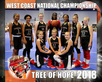Tree of Hope Team Frame