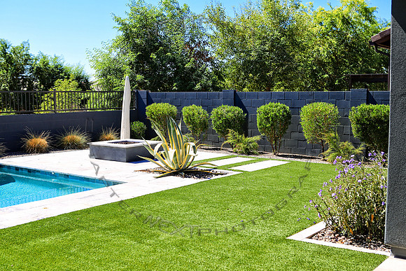 Backyard_02
