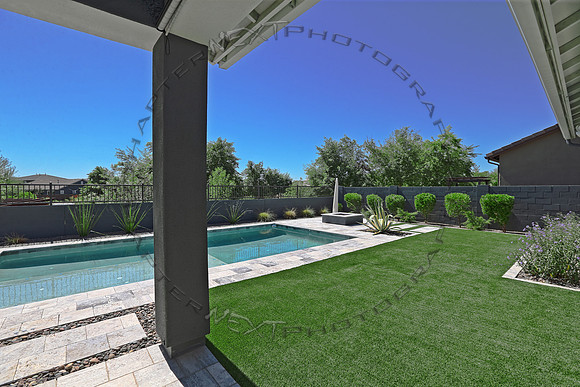 Backyard_03