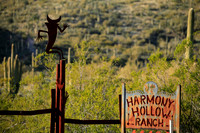 Harmony Hollow Ranch