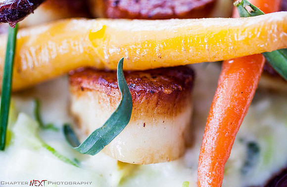 Scallops