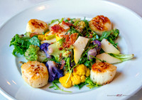 Seared Sea Scallops