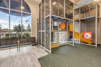 Parkland - 6741