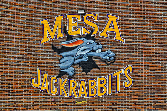Mesa High School