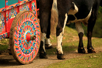 Coffee Cart