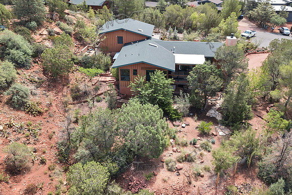 Sage - 0026